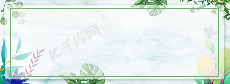 清新绿色植物banner