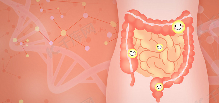 简约肠道健康医疗背景