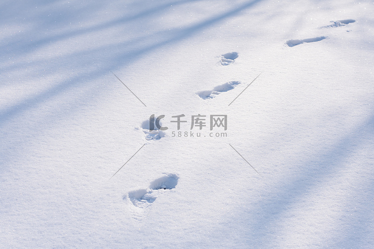 雪后雪地上一行脚印摄影图
