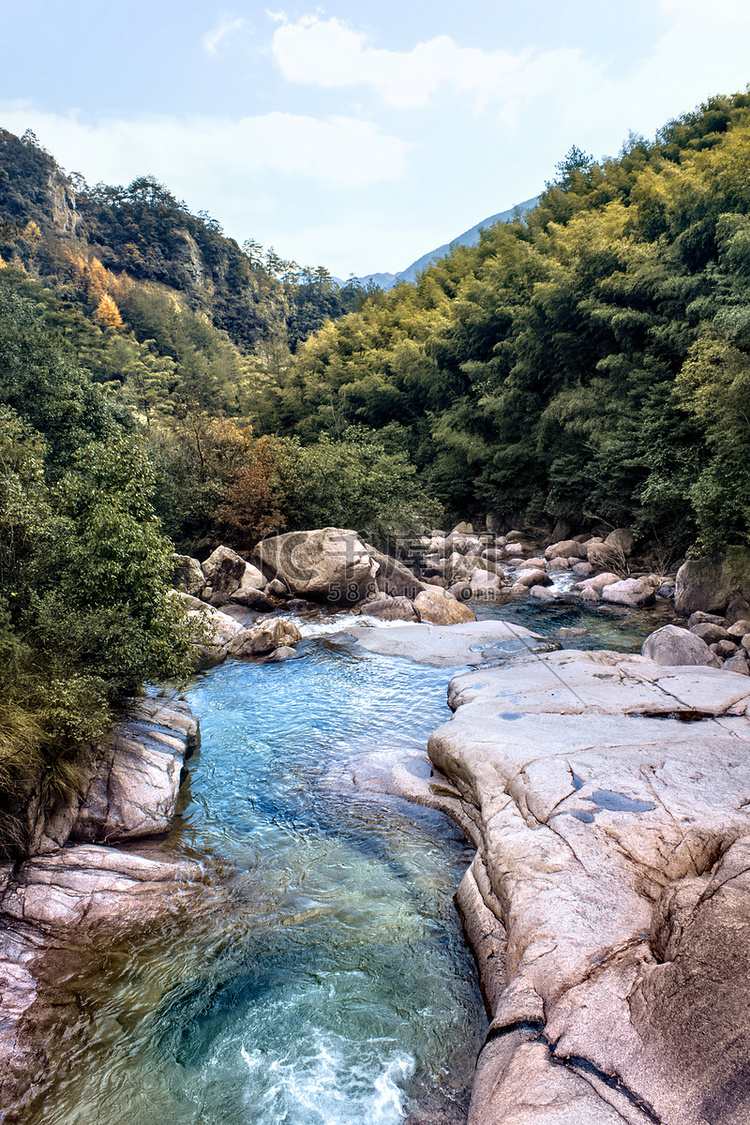 溪水岩石和树木摄影图