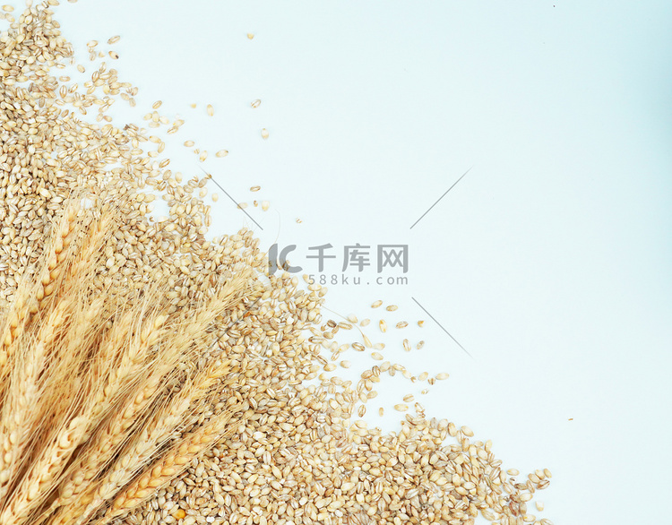 粮食麦穗麦粒摄影图