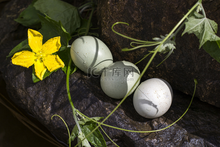 静物晌午土鸡蛋图像户外摄影图配