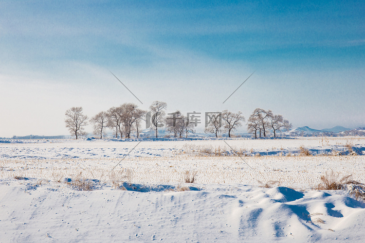 北方冬季冬天雾凇雪景雪地滑雪树