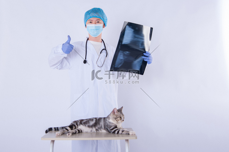 男医生和猫白天兽医和猫室内拿着