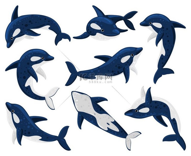 卡通虎鲸海洋掠食者虎鲸海洋生物