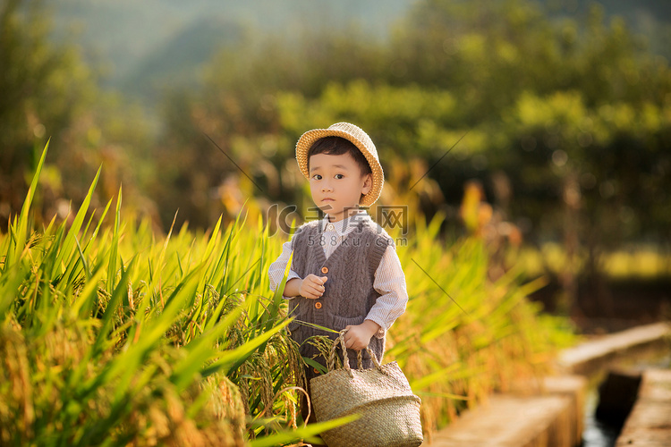 站在水稻田边上的可爱的男孩子摄