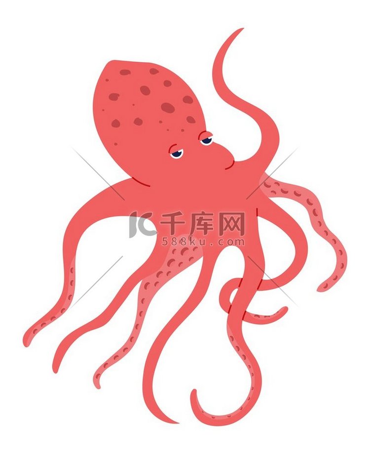 红色章鱼在白色海洋生物上被隔离