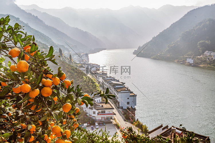 季节水果清晨桔子江边流动摄影图