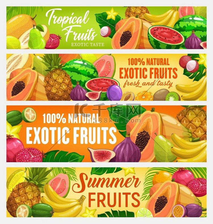 异国情调的水果和热带浆果矢量横