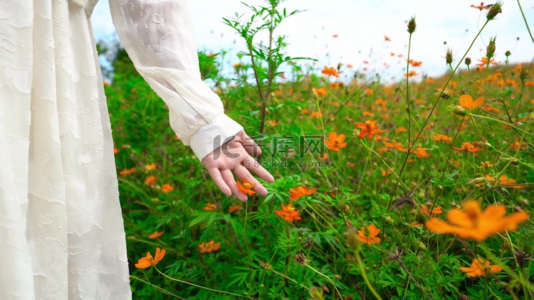 唯美实拍女孩手抚摸花朵