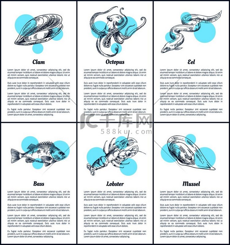 龙虾和海洋生物海报集贻贝牡蛎鲈