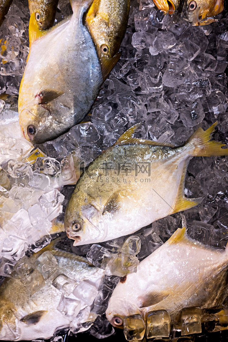 水产冰鲜鱼类食材食品摄影图配图