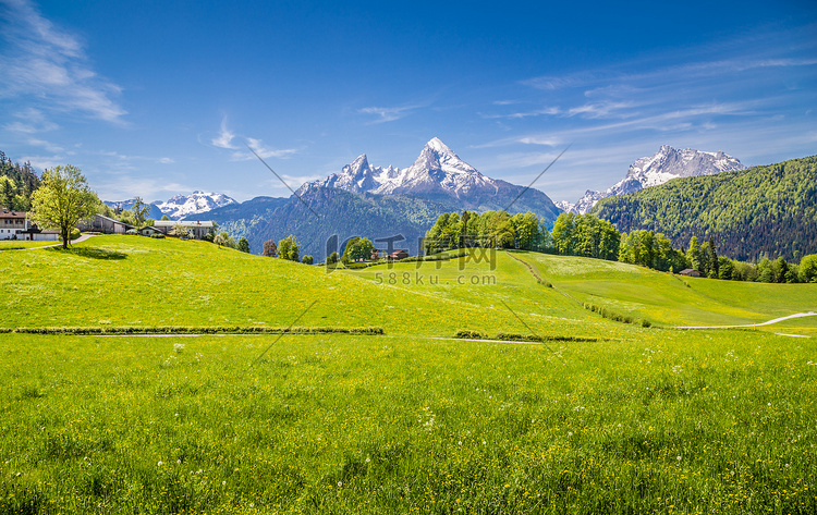在阿尔卑斯山以鲜绿色的草地和白