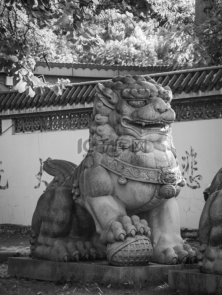 公园中午广西省柳州市开元寺石狮