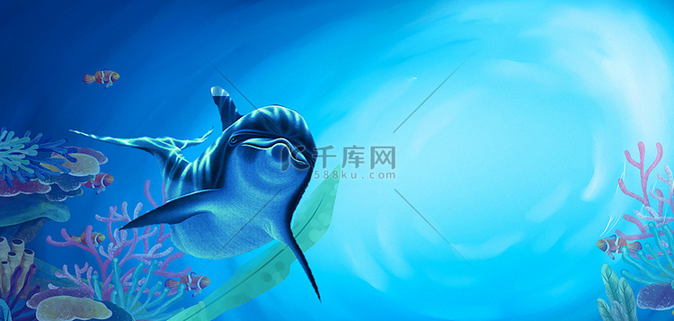 海洋海豚海草蓝色