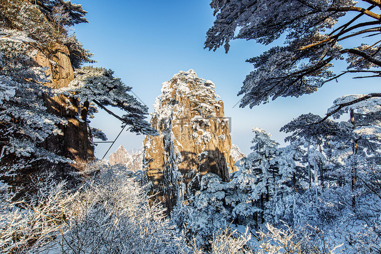 冬天白雪松树和岩石摄影图