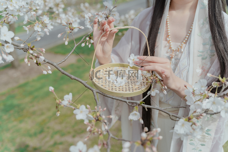 四月春季樱花樱花祭少女摄影图配