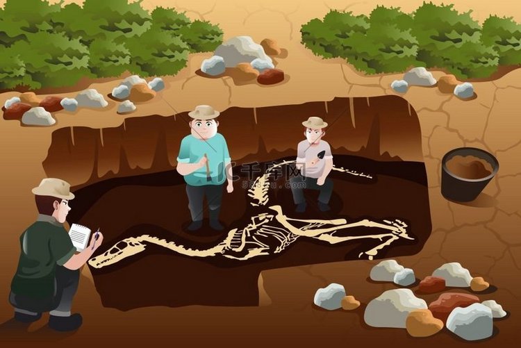 考古学家发现恐龙化石的矢量图解