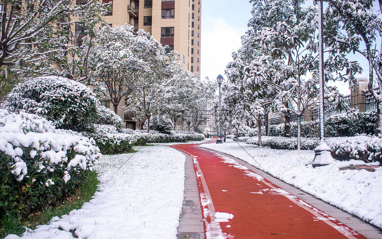 园区雪景早晨雪地住宅小区静止摄