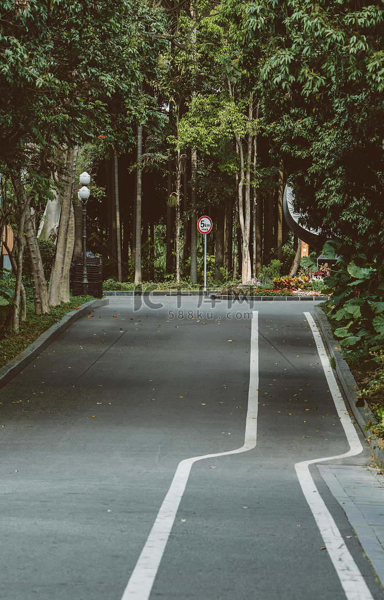 绿化道路树木植物车道摄影图配图