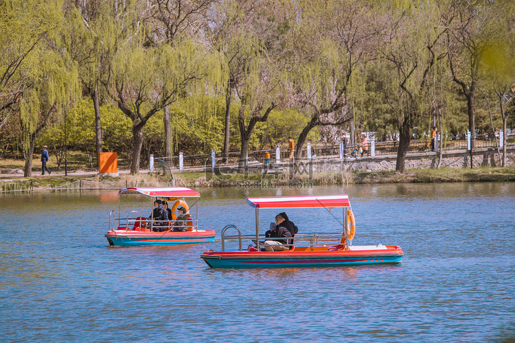 春游划船春天白天公园里划船的人