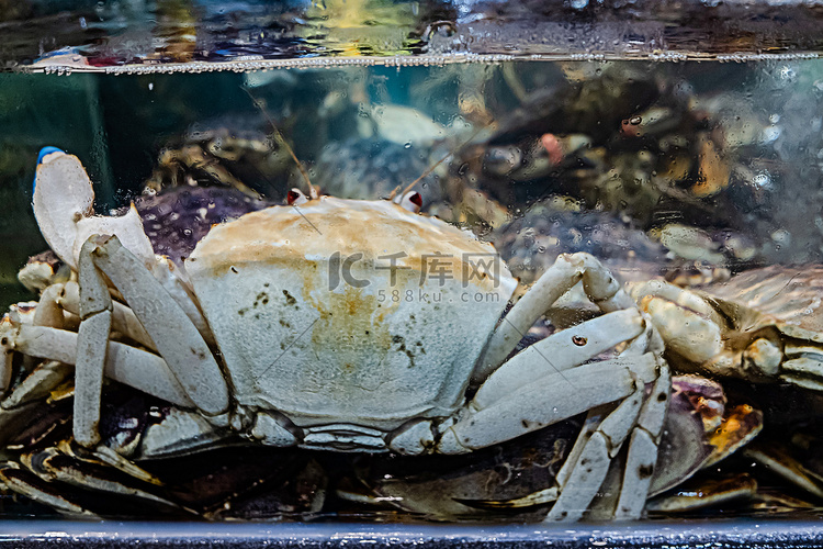 螃蟹海鲜水产市场食材摄影图配图