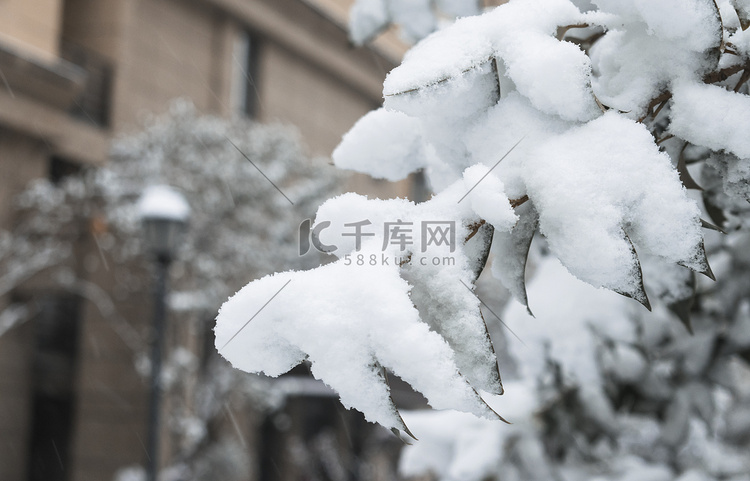 24节气小雪