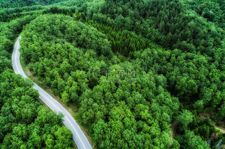 省道穿过一片森林的鸟瞰图