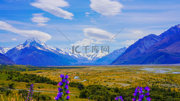 桌面壁纸下午雪山紫花国外风景摄