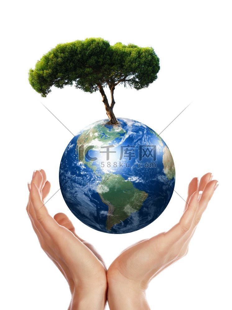 手，我们的星球地球和树-环境保