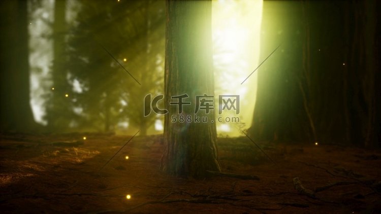 萤火虫在有雾的森林