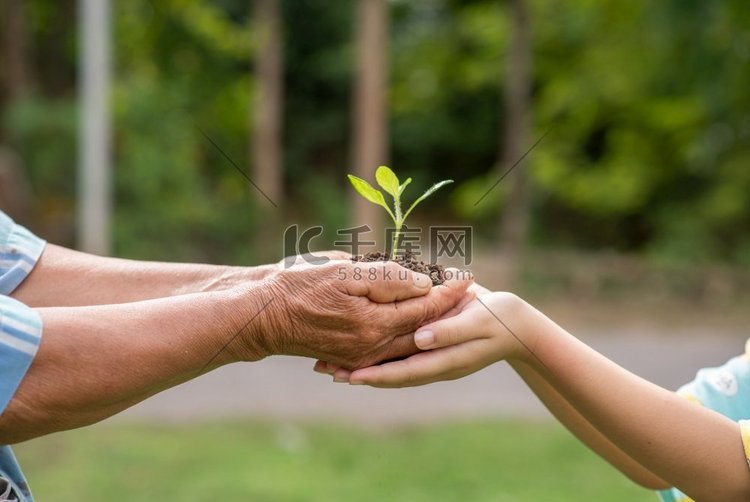  生物学，商业，关怀，慈善