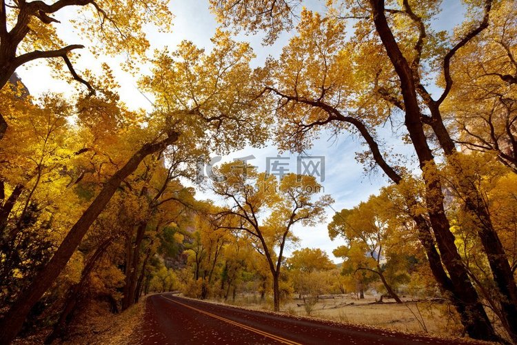 美国犹他州锡安国家公园的秋景