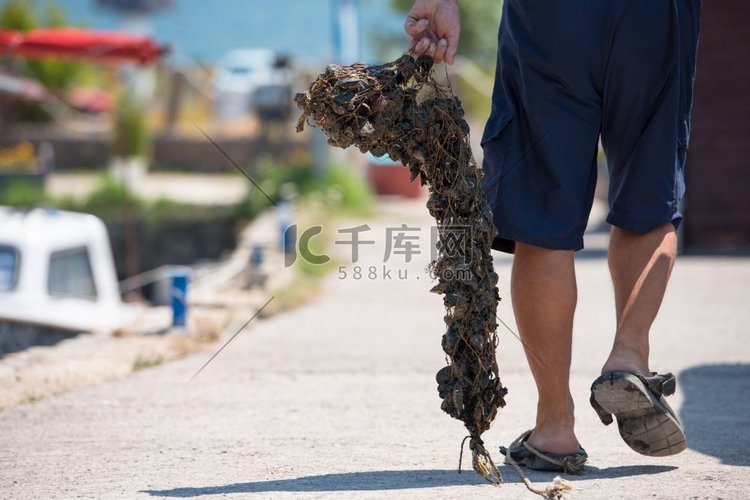 老人携带一袋新鲜贻贝的特写照片