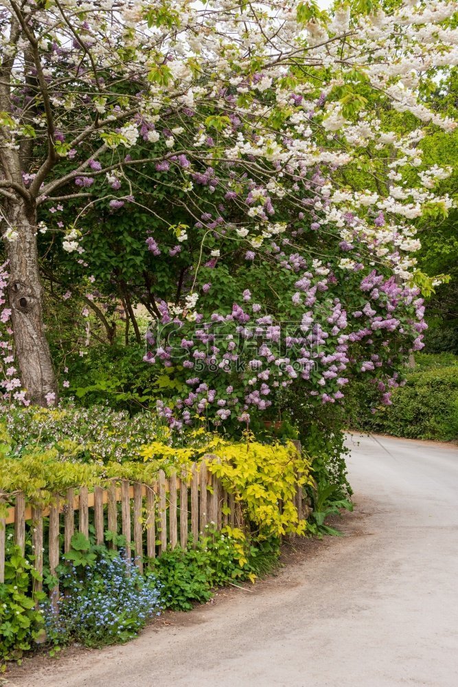 典型英国乡村花园的美丽景观形象
