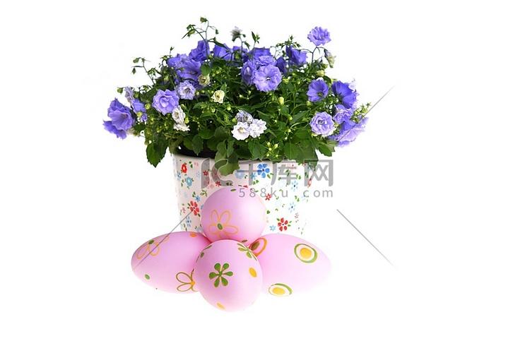 蓝色风铃花在花盆和复活节蛋