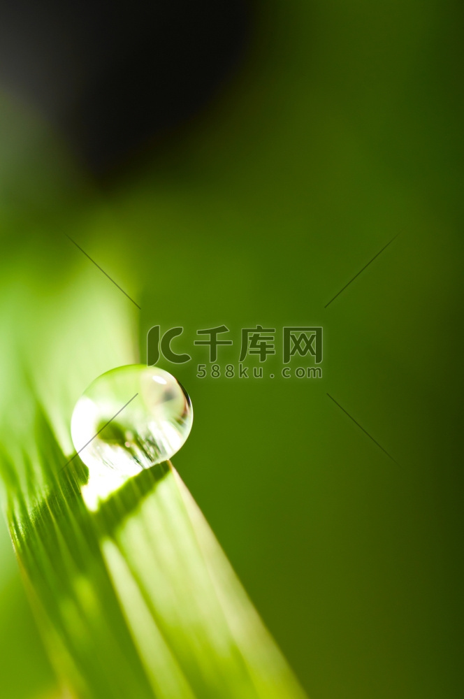 水滴在新鲜的绿草与模糊的背景