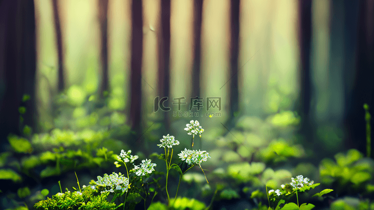 森林绿色植物小花朵