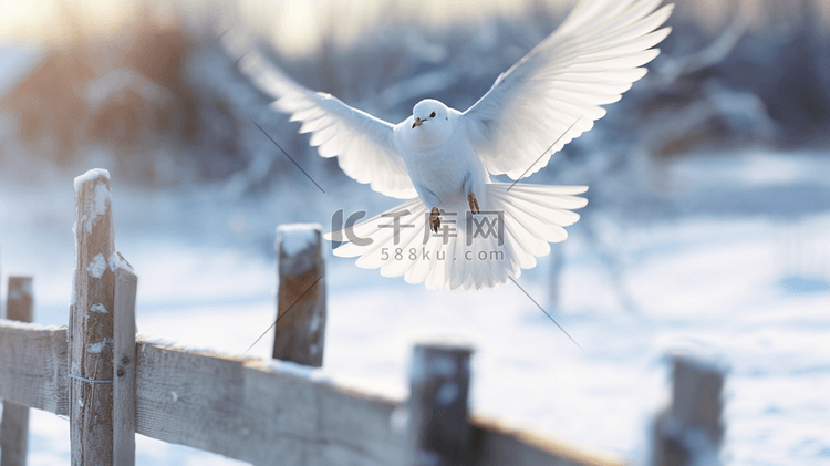 一只鸽子飞过覆盖着白雪的木柱