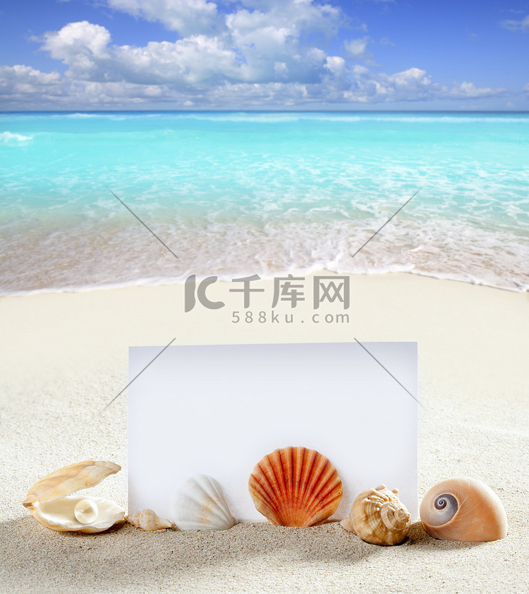 海滩度假沙珍珠贝壳蜗牛白纸