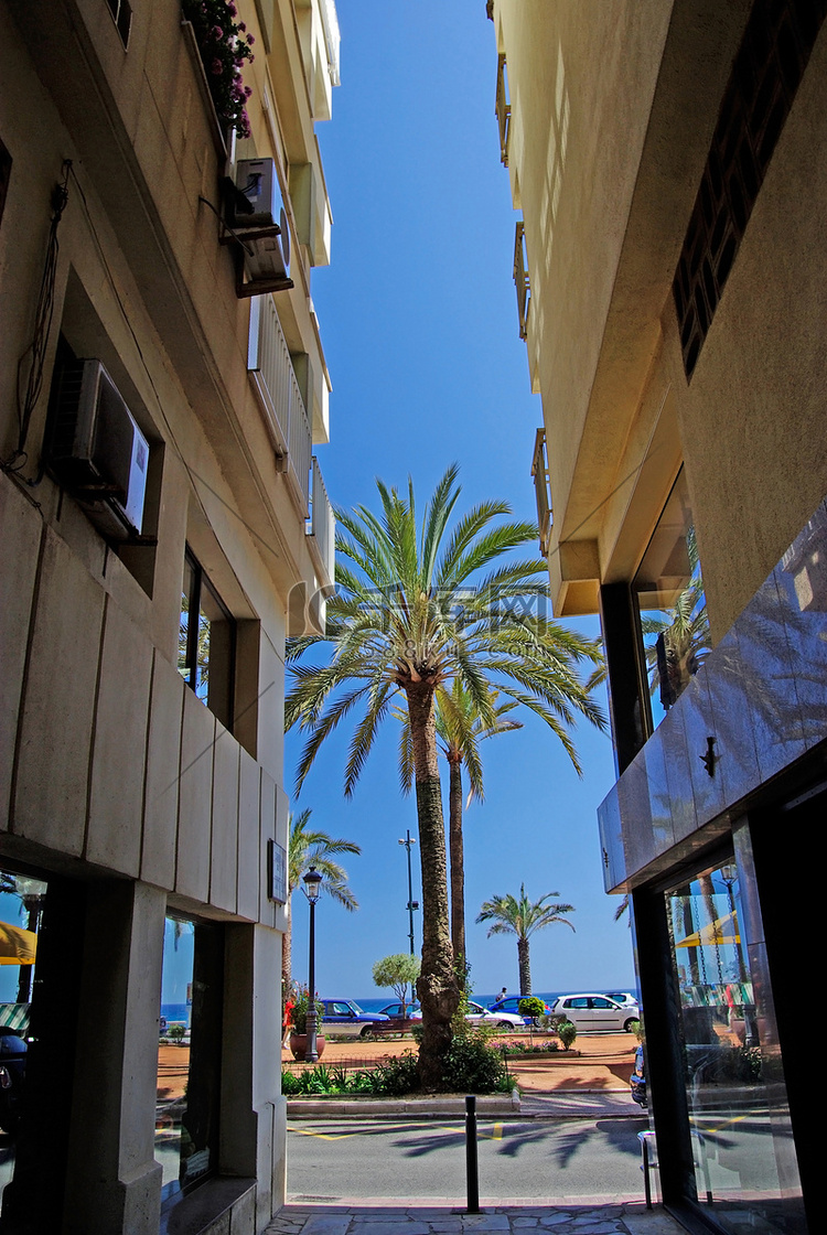 “酒店之间的棕榈树。地中海城市