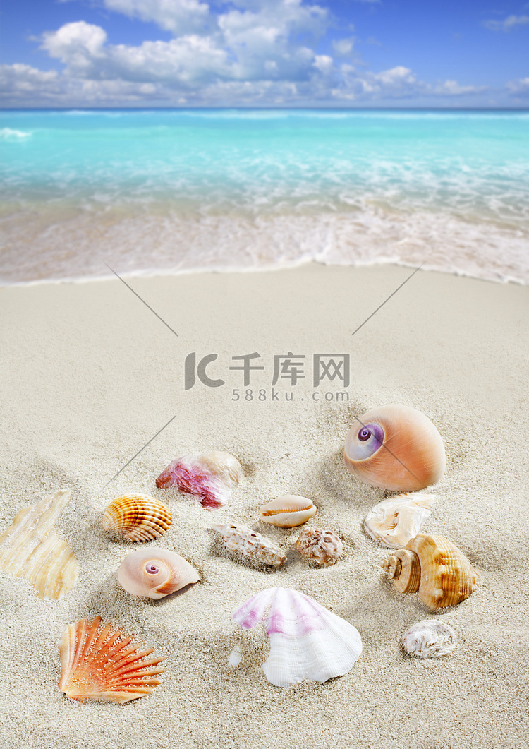 加勒比海滩沙贝壳热带暑假