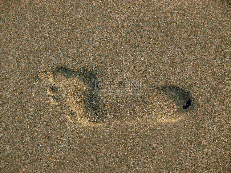 湿沙中的脚印