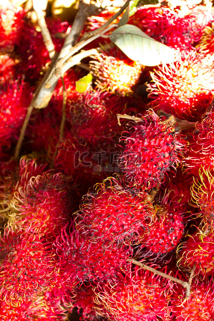 热带水果红毛丹