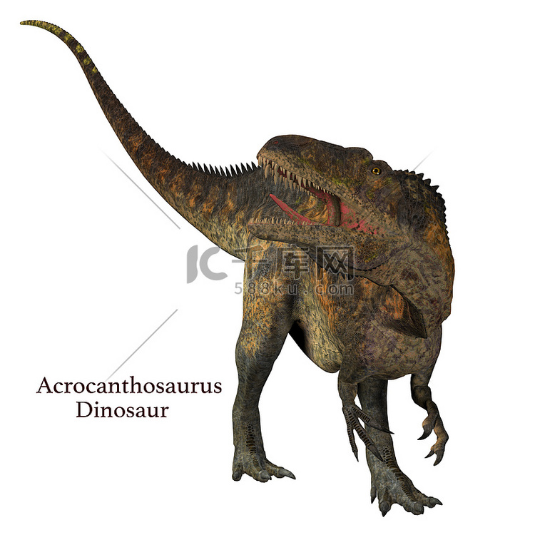 Acrocanthosaurus 恐龙尾巴与字体