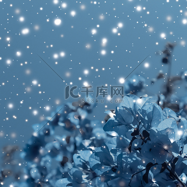 圣诞、新年蓝色花卉自然背景、节