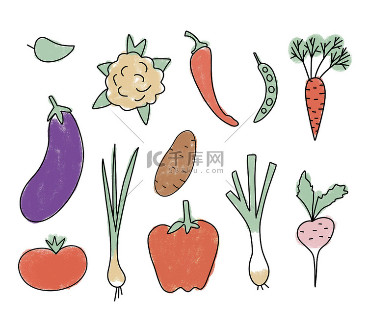手绘插图有机健康蔬菜，胡萝卜土