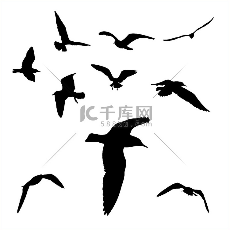 设置-白色背景集合上的海鸥剪影