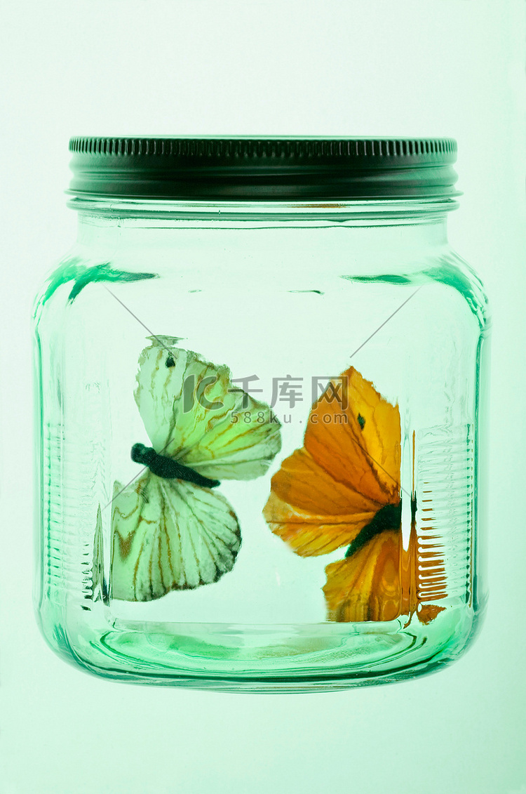玻璃瓶里的两只蝴蝶