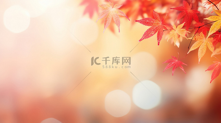 秋季红黄色枫叶秋色背景12
